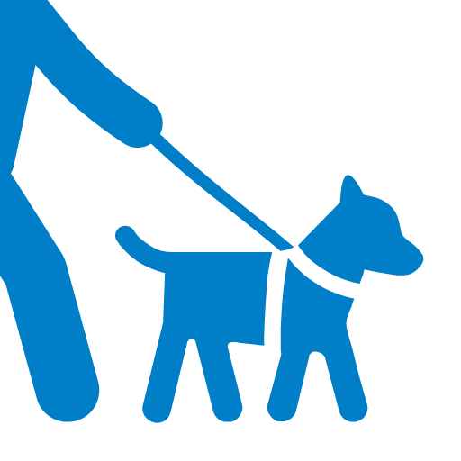 Passeando com o cachorro dos outros: entenda o que é um dog walker