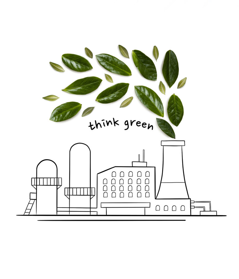 A EMISSÃO DE CO2, O COURO E A IMITAÇÃO DE COURO